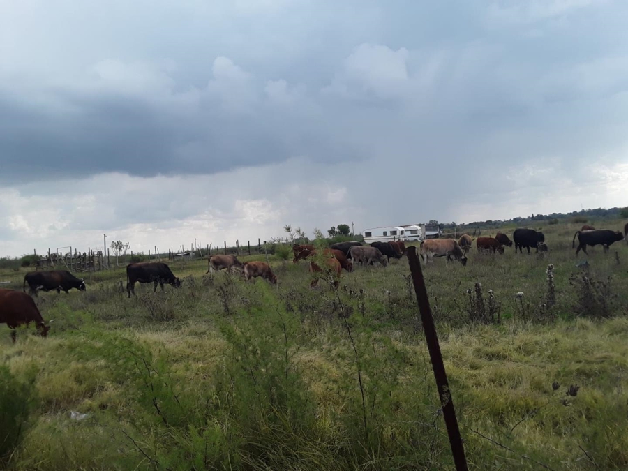 0 Bedroom Property for Sale in Koppies Free State